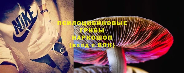 индика Пересвет