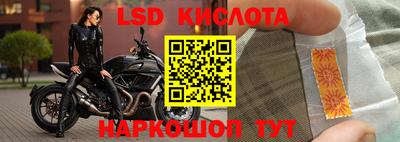 прущий лед Кингисепп
