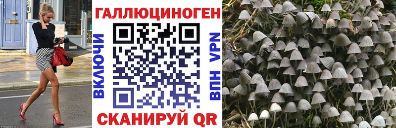 Псилоцибиновые грибы ЛСД  купить наркоту  Фурманов 