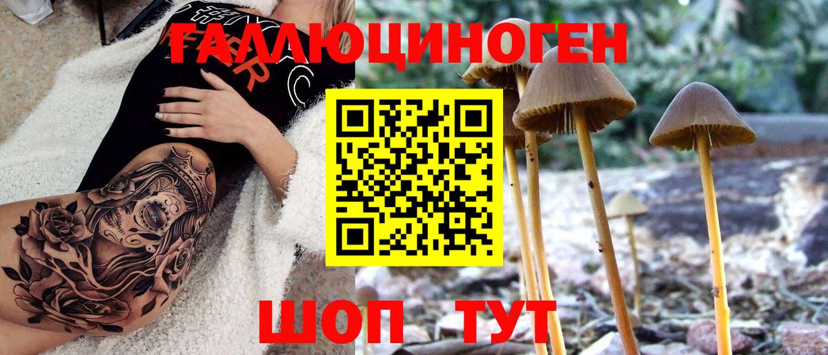 Псилоцибиновые грибы MAGIC MUSHROOMS Фурманов