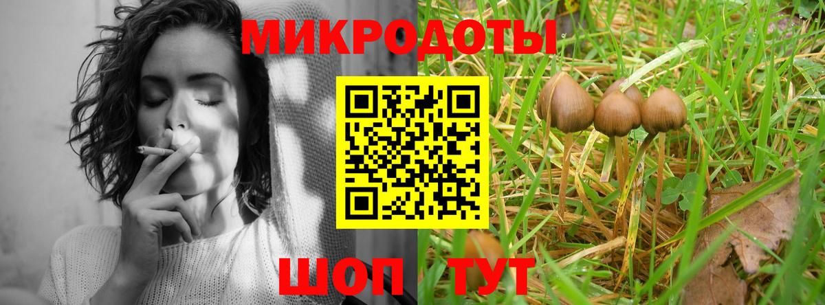 Галлюциногенные грибы прущие грибы Фурманов