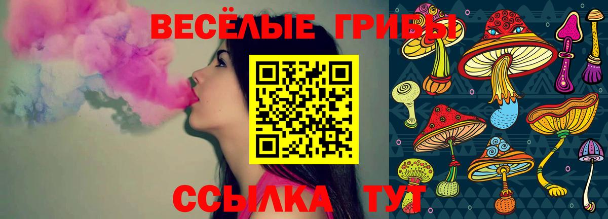 Галлюциногенные грибы GOLDEN TEACHER  где купить наркоту  Фурманов 